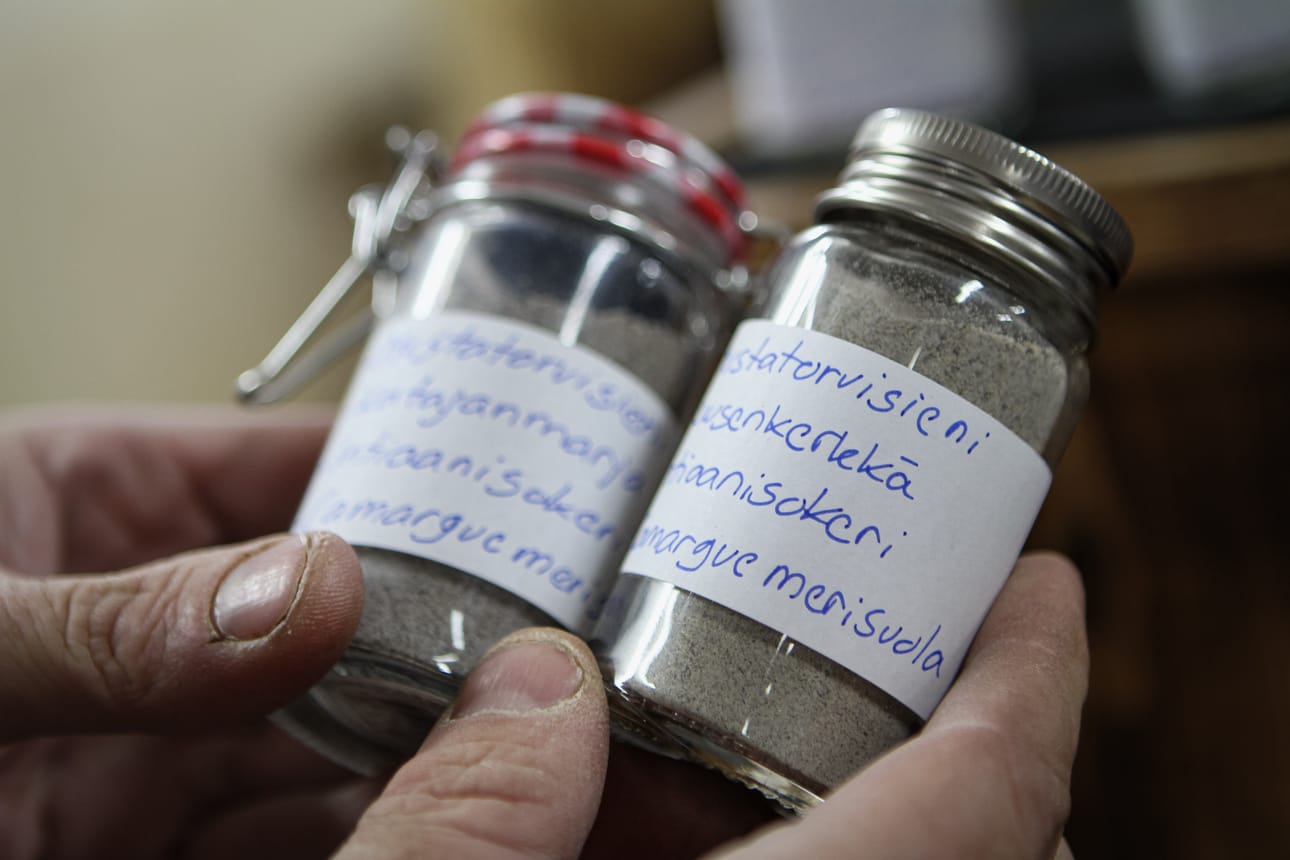 Virtanen valmistaa hanketta varten maustesuolaa metsän antimista. Kuten herkkusienestä, vahverosta ja mustatorvisienestä