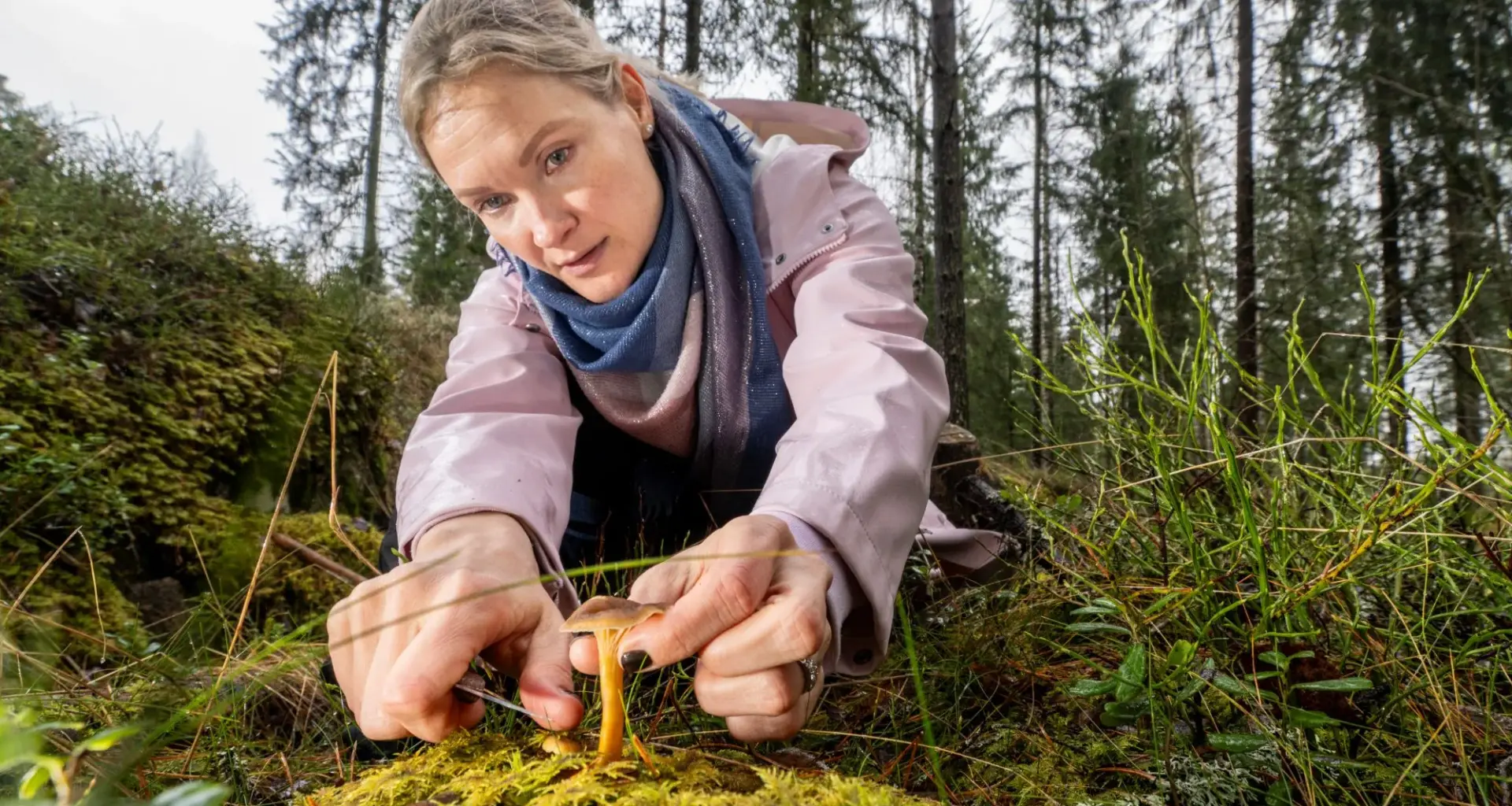 Minna Patosalmi häpesi perheyhtiön konkurssia syvästi, kunnes hän nousi estradille – ”Se kuoli siinä”