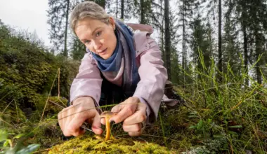Minna Patosalmi häpesi perheyhtiön konkurssia syvästi, kunnes hän nousi estradille – ”Se kuoli siinä”