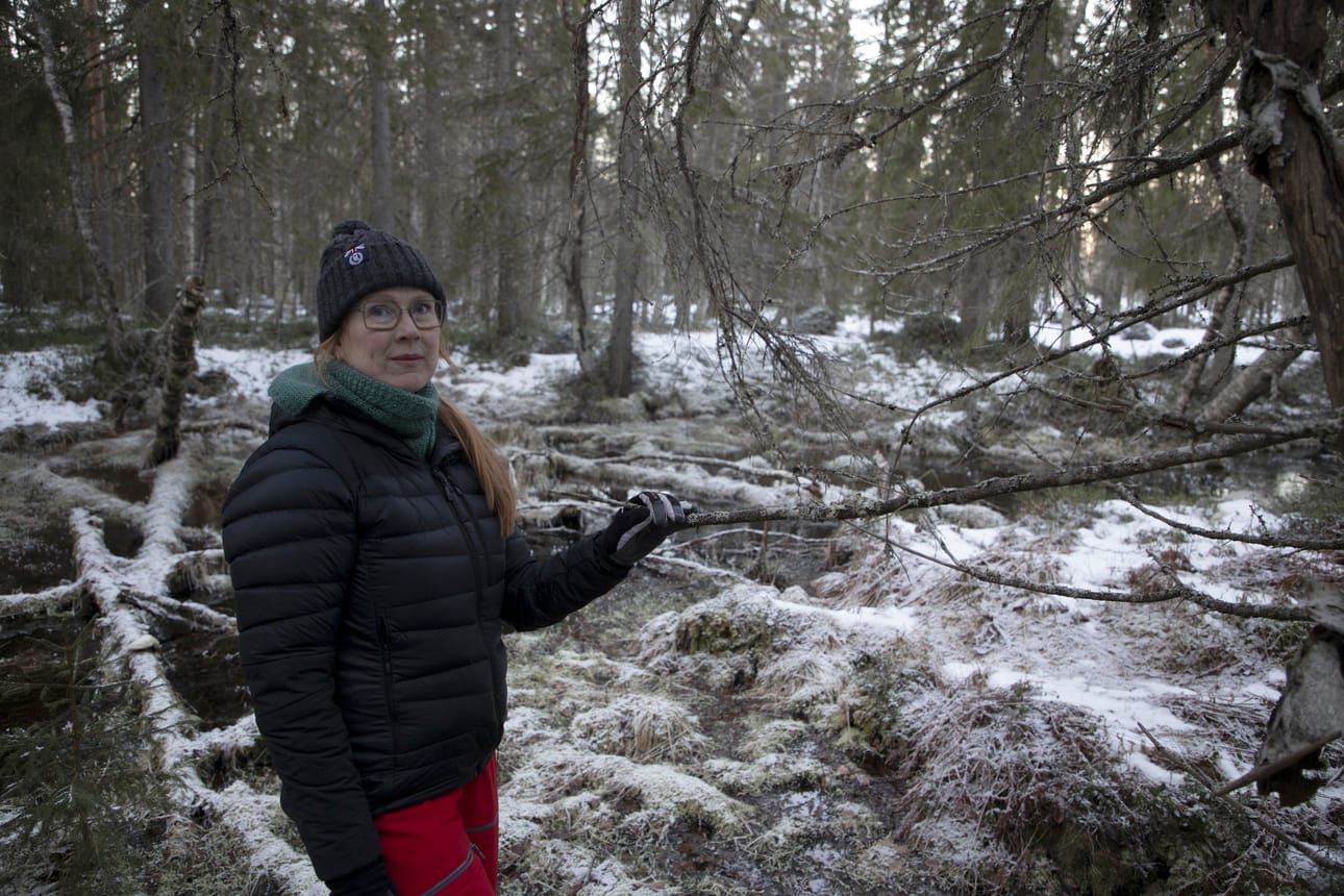 Teija Soini kaipaa erilaisia kertomuksia lähteistä. Hän toivoo tavoittavansa henkilöitä, joille lähteet ovat olleet merkityksellisiä tai tiivis osa heidän elämäänsä.