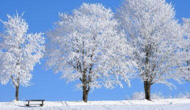 KOVA: Takauslainaa ei käytetä tai tulla käyttämään kohtuuhintaiseen asuntotuotantoon