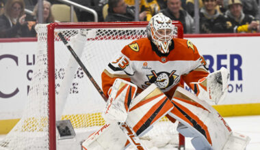 Husso nostettiin takaisin NHL-joukkueen vahvuuteen