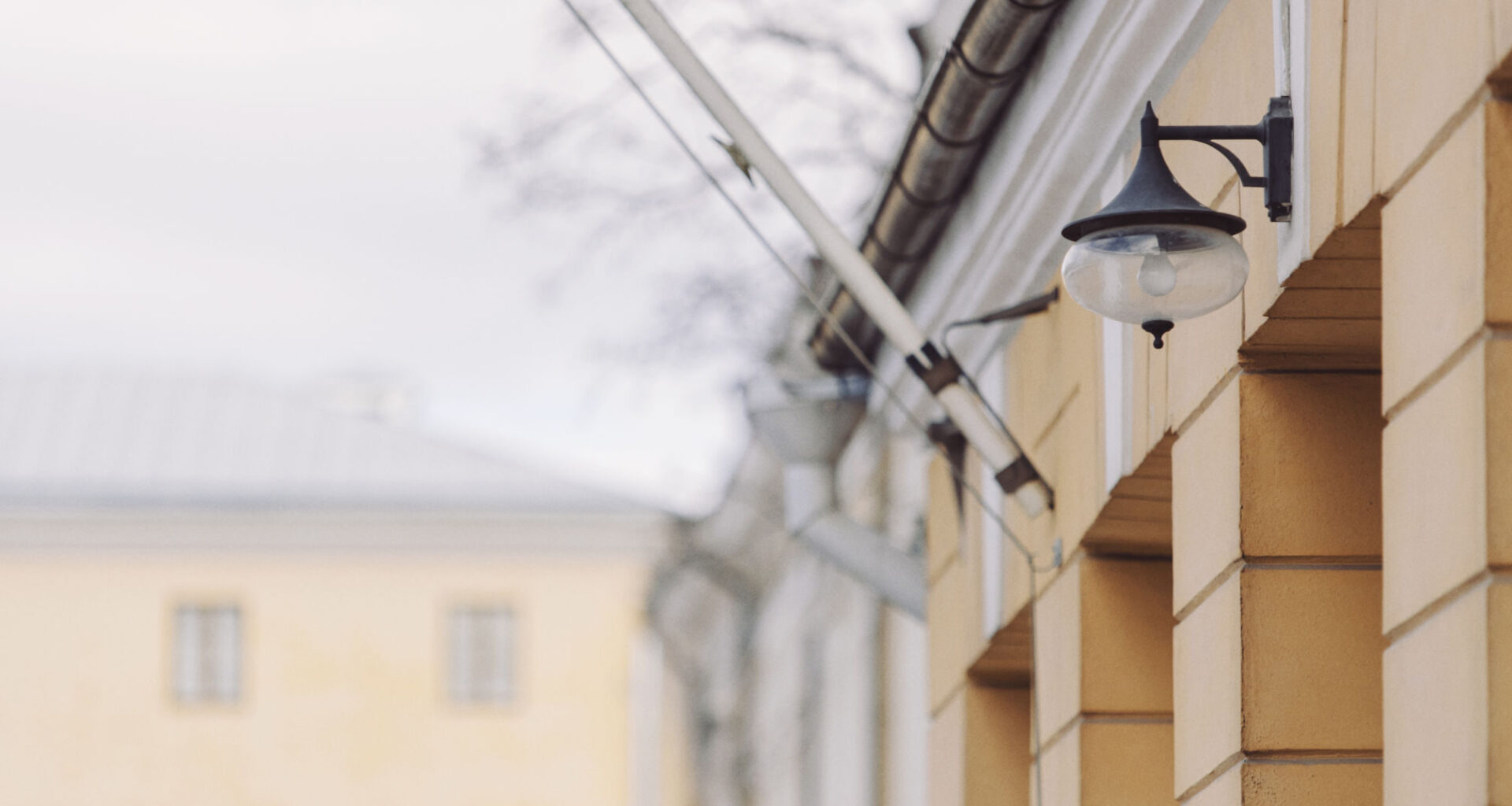 Pekka Santtila ja Gunilla Widén jatkoon Åbo Akademin rehtorivalinnassa