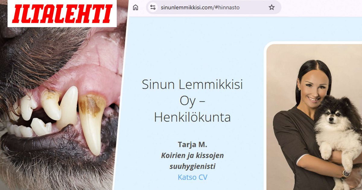 Varoitus Suomea kiertävästä pakettiautosta – Asiakirjat paljastavat karun totuuden taustalta