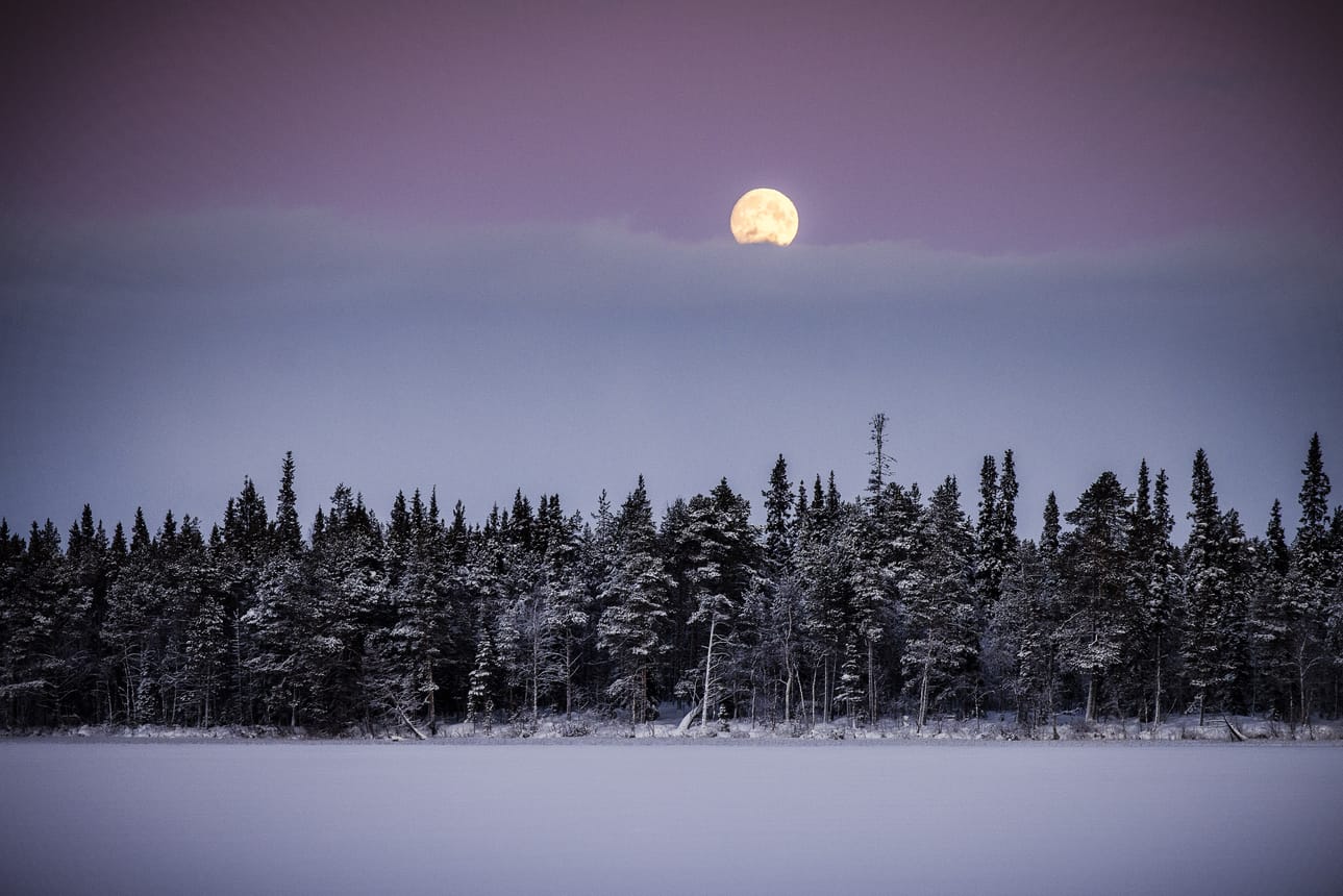 Tammikuu on alkanut todellisissa paukkupakkasissa. Arkistokuva vuodelta 2023.