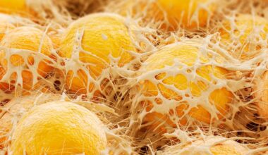 Tuore tutkimus valottaa, miten elimistö varastoi rasvaa – ja miten lihavuutta ja diabetesta voi hoitaa