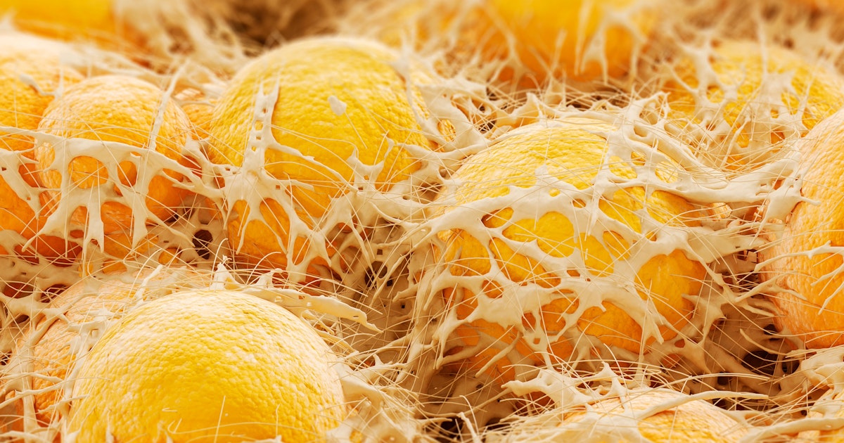 Tuore tutkimus valottaa, miten elimistö varastoi rasvaa – ja miten lihavuutta ja diabetesta voi hoitaa