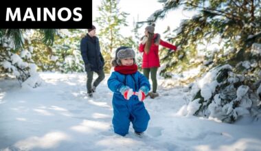 [MAINOS: WWF] Suomalaiset yritykset antoivat joululahjan luonnolle – näin lahjoitukset käytetään