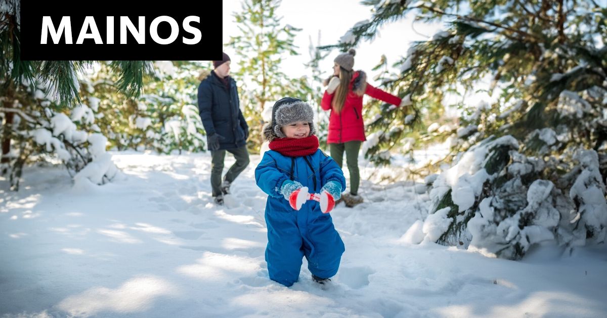 [MAINOS: WWF] Suomalaiset yritykset antoivat joululahjan luonnolle – näin lahjoitukset käytetään