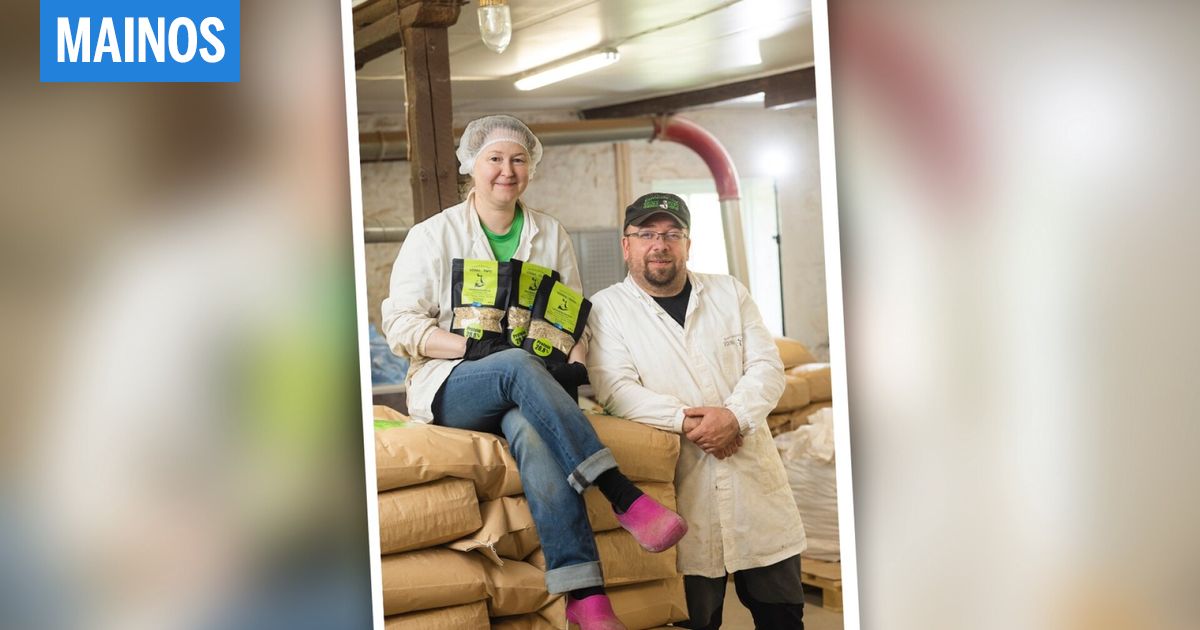 [Mainos: Voima-Papu] Säästä, kevennä, voi paremmin – salolainen tila teki härkäpavusta arkisen hittituotteen