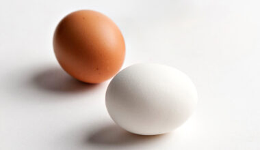 Ovatko ruskeat kananmunat valkoisia terveellisempiä?