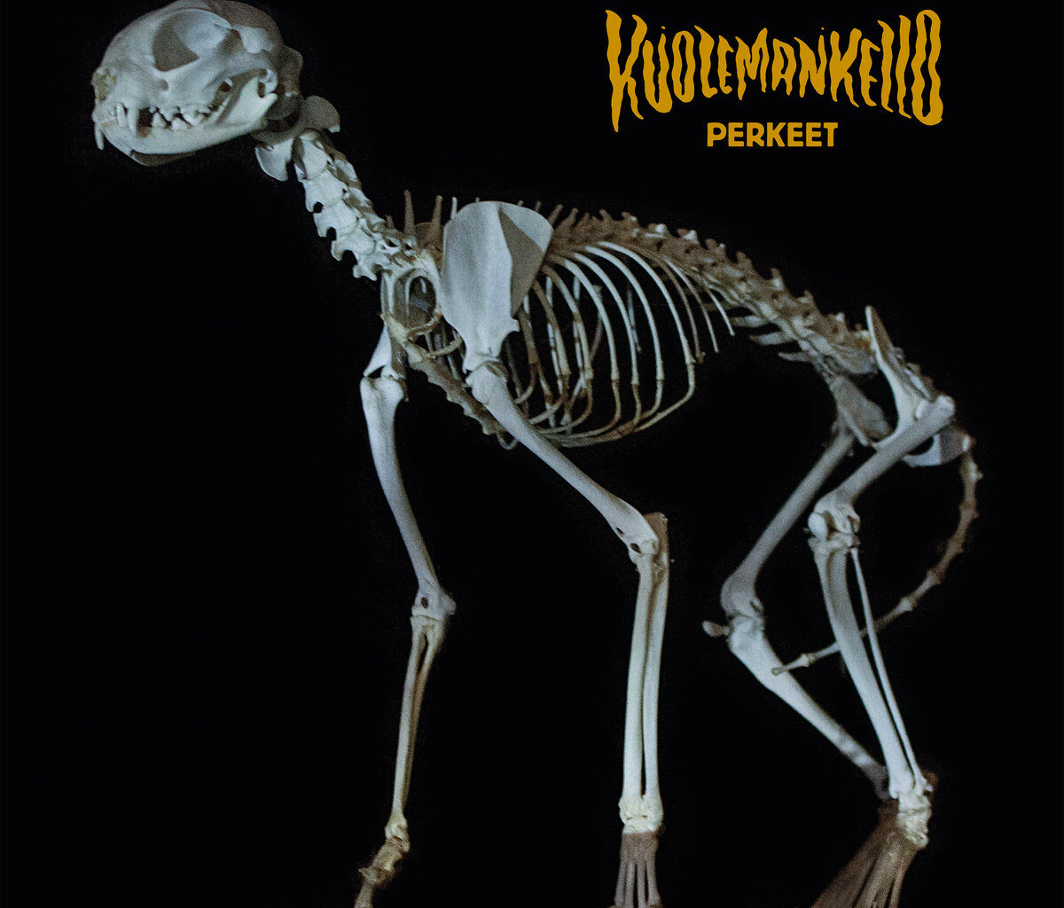 Arvio: Kun Tuomari Nurmio Black Sabbathin kämpille jammailemaan eksyi - Kuolemankellon debyytti groovaa rouheasti