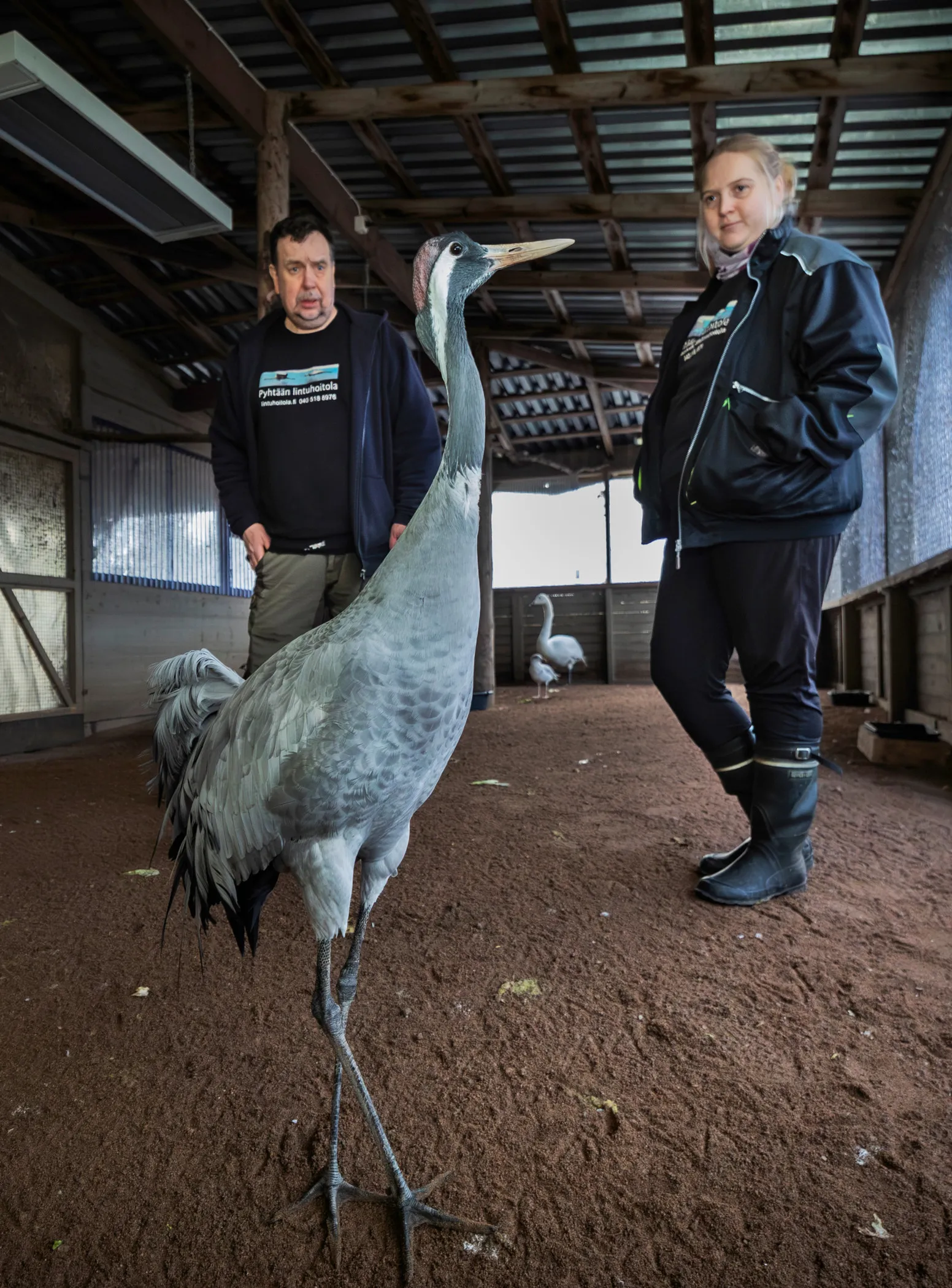 Pyhtään Lintuhoitola on luonnonvaraisten lintujen hoitola, jonka pääsääntöinen tehtävä on kuntouttaa loukkaantuneet linnut ja vapauttaa ne takaisin luontoon. Arto Hokkasen jalan jäljillä jatkaa Marjaana-tytär.