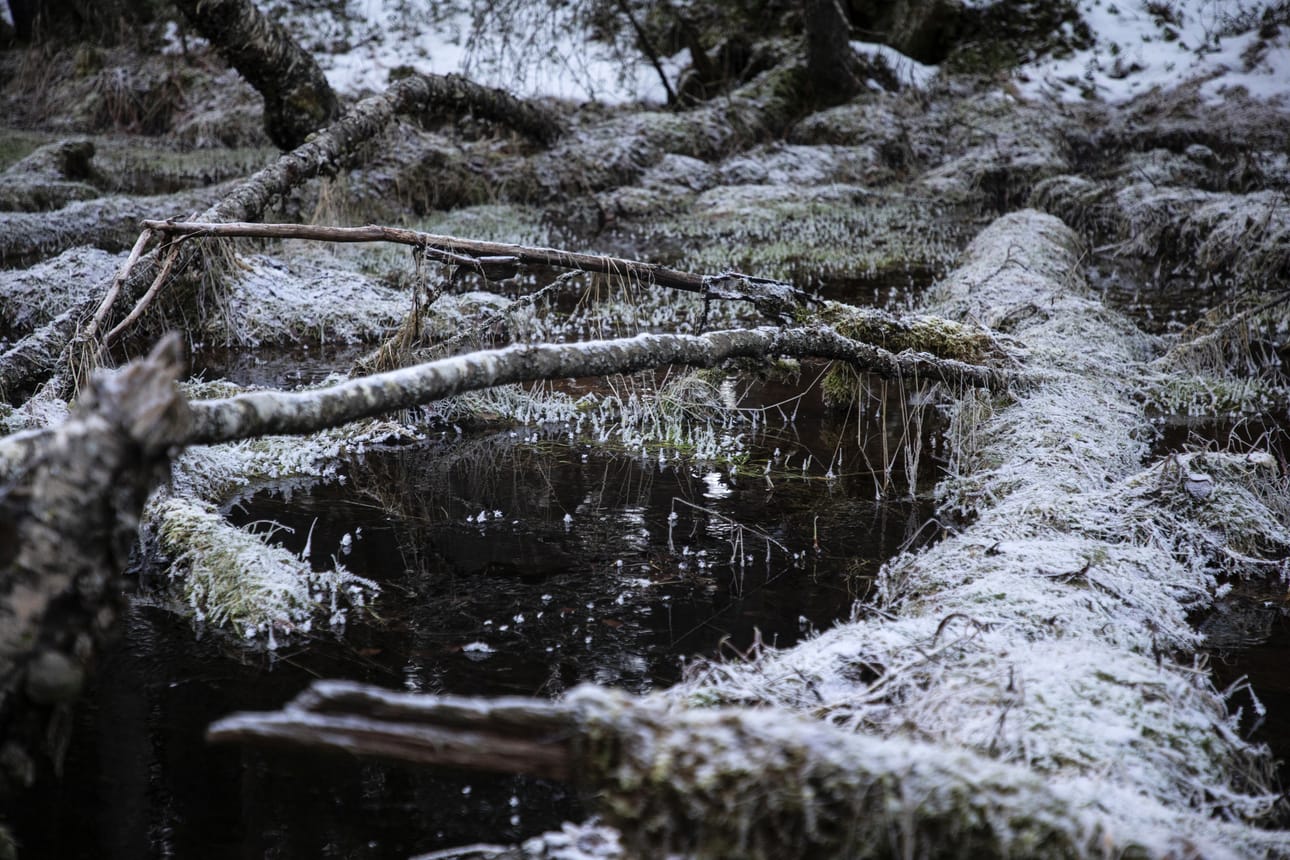 Lähteiden kauneus ja syvällisyys lumosivat valokuvaaja Teija Soinin. Kuvassa on lumihärmäinen Viinivaaran Hanganhete.