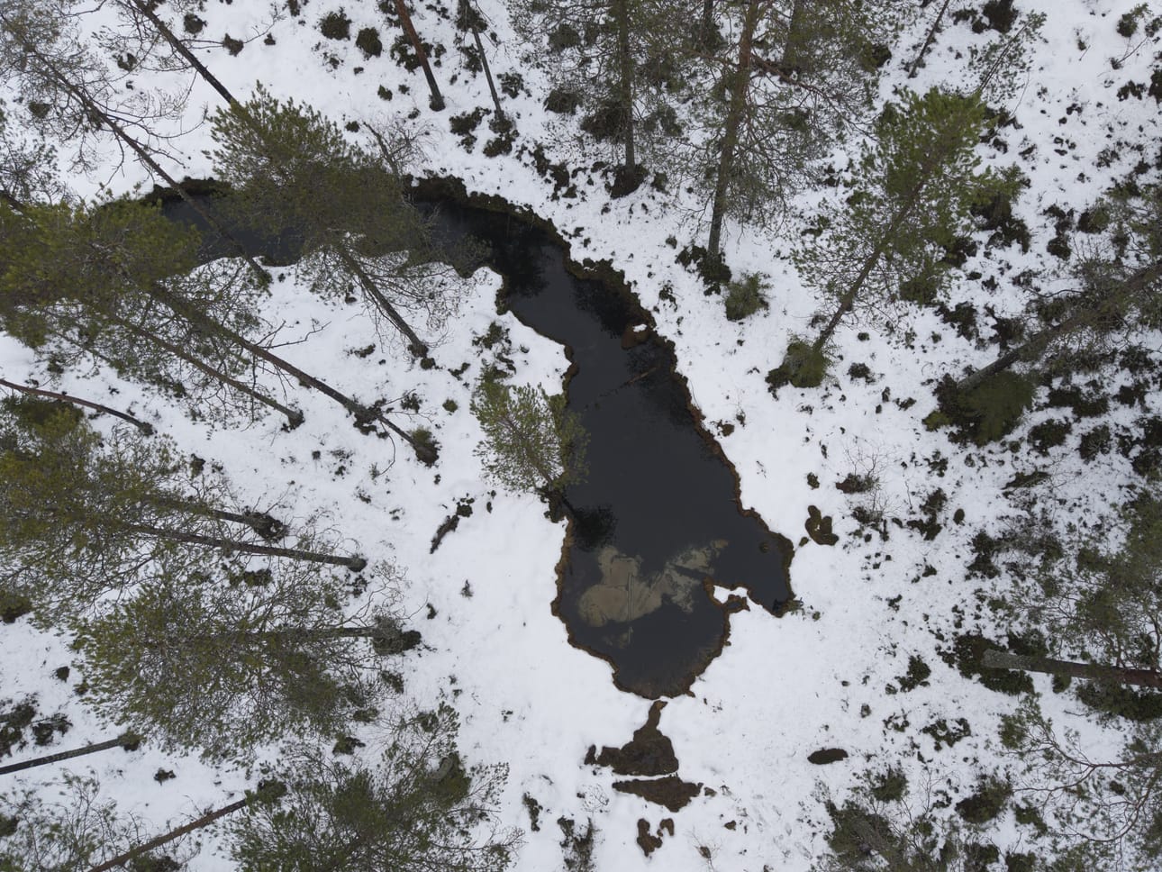 Viinilän lähde on yksi Viinivaaran alueen isoimpia avolähteitä.