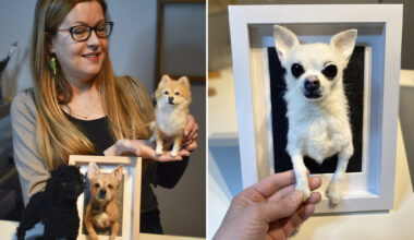 Minna huovuttaa lemmikkien muotokuvia – luultu täytetyiksi koiriksi