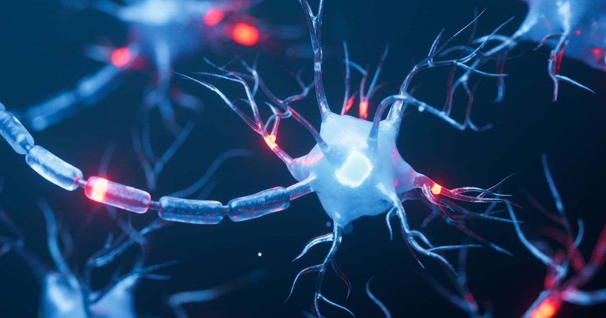 Tutkimus: Aivojen toimintaa voi ohjata aivan toinen paikka elimistössä