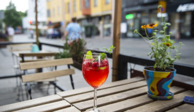 Rotat liikkuvat siellä, missä ne voivat saada ruokaa.