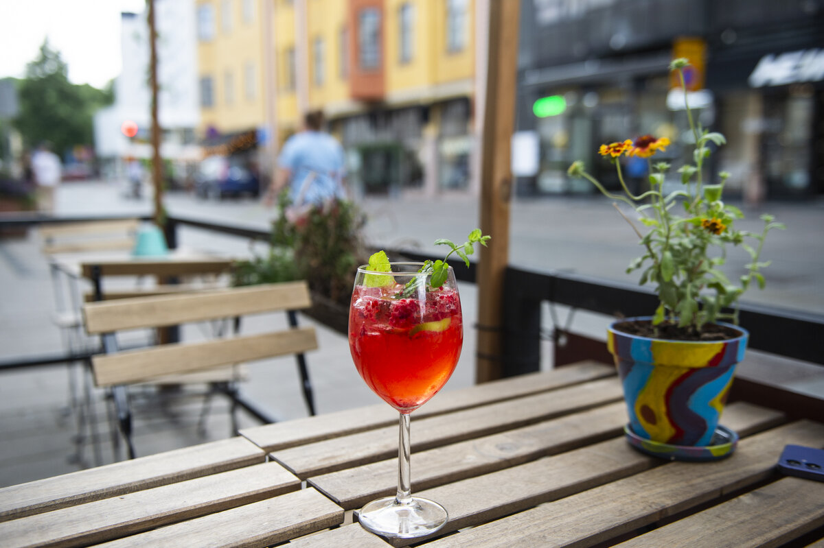 Rotat liikkuvat siellä, missä ne voivat saada ruokaa.