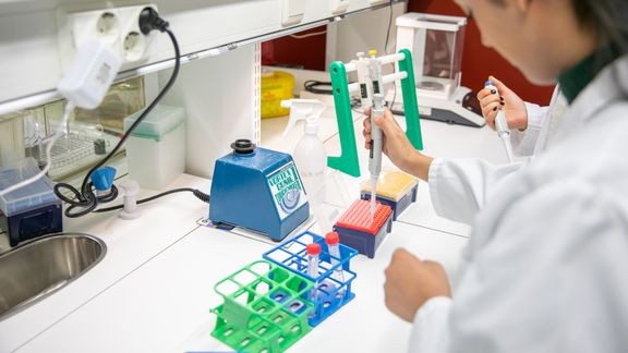 Vastasyntyneiden suoliston mikrobiperäiset molekyylit voivat vaikuttaa tyypin 1 diabeteksen riskiin - Uutiset