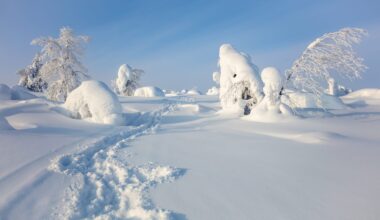 Pakkasennätys meni Savukoskella jälleen uusiksi - hyytävät lukemat