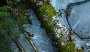 Soukonvuoren luonnonsuojelualue [Tampereen kaupunki - Luonto ja ympäristö - Luonnonsuojelu