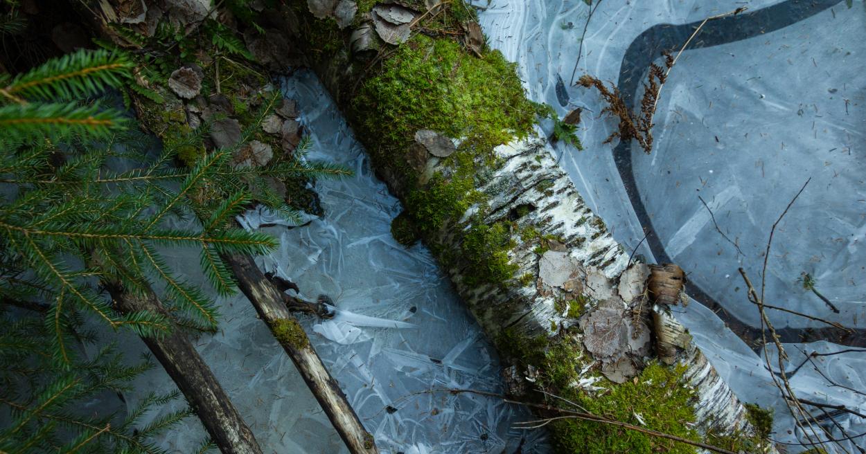 Soukonvuoren luonnonsuojelualue [Tampereen kaupunki - Luonto ja ympäristö - Luonnonsuojelu