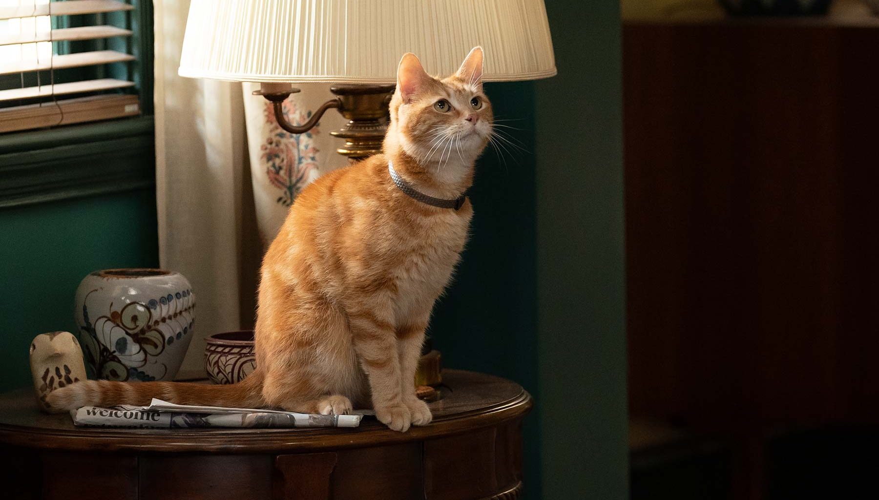 Marvel Studiosin pahimman flopin ohjaaja kommentoi metsään mennyttä elokuvaa: "Kaikki koettivat tehdä siitä mahtavan"