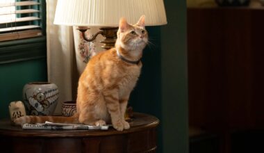 Marvel Studiosin pahimman flopin ohjaaja kommentoi metsään mennyttä elokuvaa: "Kaikki koettivat tehdä siitä mahtavan"