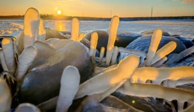 Luonto on tarjonnut tällä viikolla myrskyn lisäksi ikuistettavaa jääpalloista ”hattivatteihin” – Sää jatkuu hyytävänä