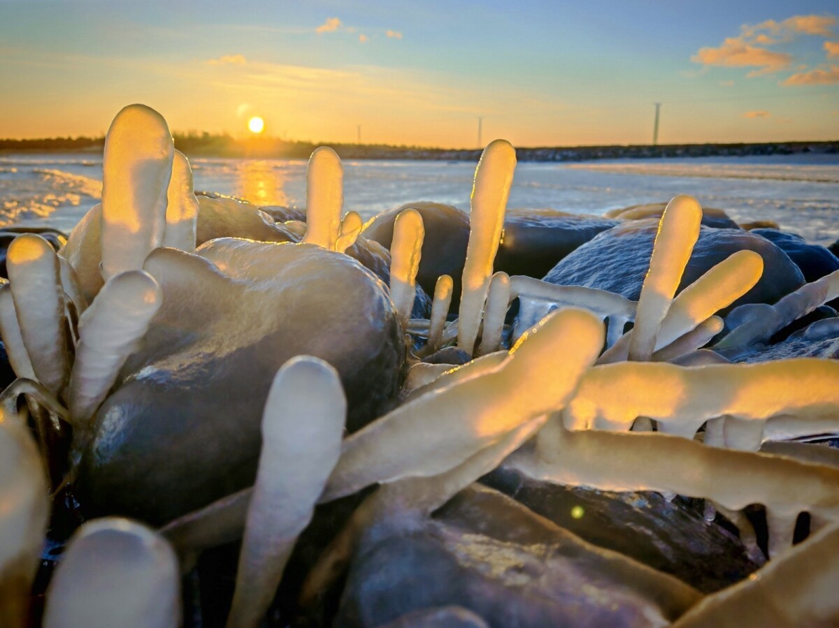 Luonto on tarjonnut tällä viikolla myrskyn lisäksi ikuistettavaa jääpalloista ”hattivatteihin” – Sää jatkuu hyytävänä