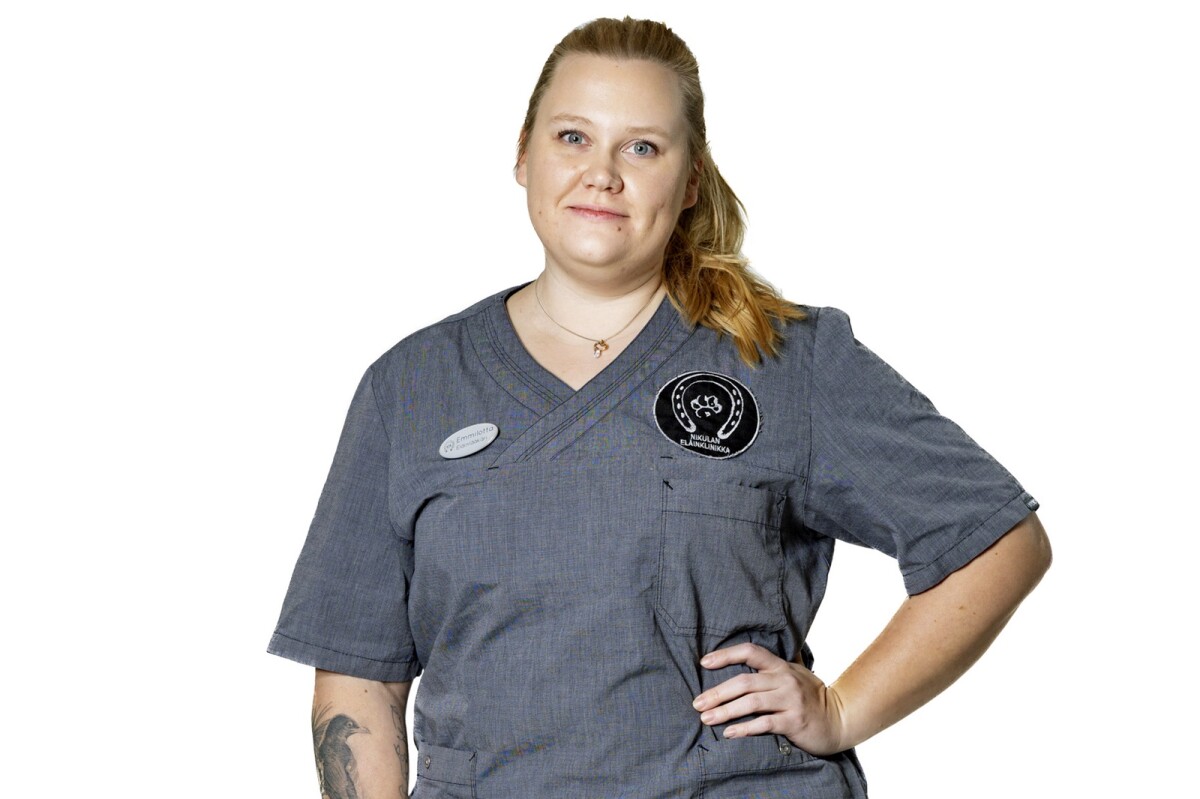 Eläinlääkäri: Nämä kolme juurisyytä aiheuttavat koirille ahdistusta ja stressiä