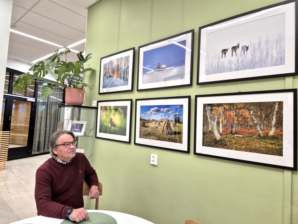 Juhani Ronkainen tietää töyhtöhyypän olevan värikäs lintu – Valokuvat ovat esillä kahvilassa