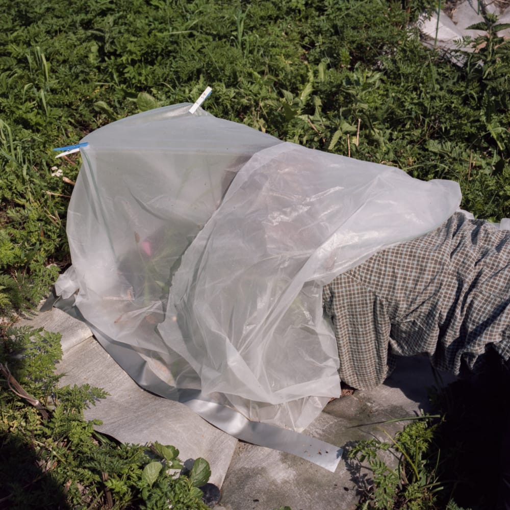 Luonnontutkija työssään. Kuva on osa Ville Rinteen Tieteen luonto -näyttelyä Aulagalleriassa.