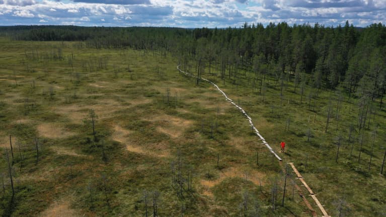 Patvinsuolla tehdään uusia pitkospuita