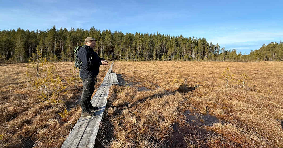 Kunta älähti, kun Metsähallitus yllättäen sulki suositun retkeilyalueen – yrittäjä: ”Tekisi mieli sanoa rumia sanoja” | Kotimaa