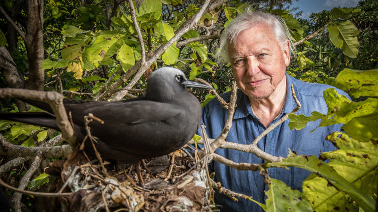 David Attenborough tutustuttaa kolmiosaisessa sarjassa Australian suuren valliriutan syntyyn, nykypäivään ja tulevaisuuteen.