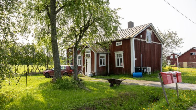 Vanha punainen pohjalaistalo pihamaineen kesäisessä maalaismaisemassa.