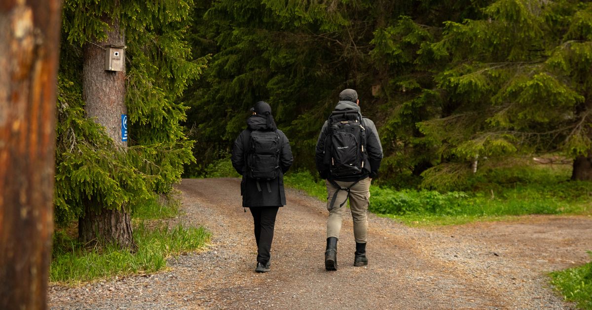 Metsähallitus perustaa Helvetin­järvelle uuden reitin, vaikka nykyistenkään huoltoon ei ole rahaa | Pirkanmaa