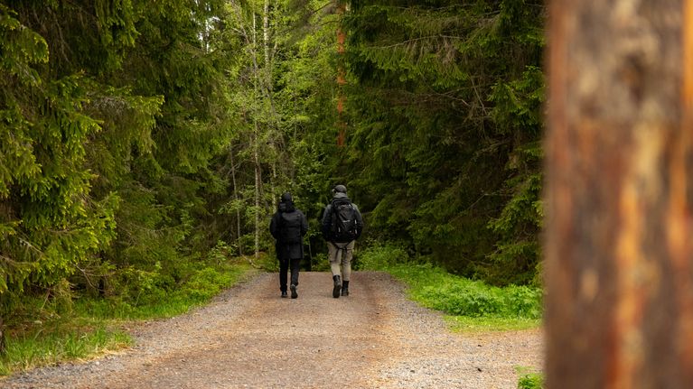 Tummiin retkeilyvaatteisiin pukeutunut mies ja nainen kävelemässä metsän keskellä retkeilyreitillä selät kohti kameraa.
