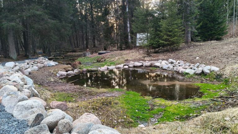 Pieni metsäinen lähde kivien ympäröimänä varhaiskevään maisemassa.