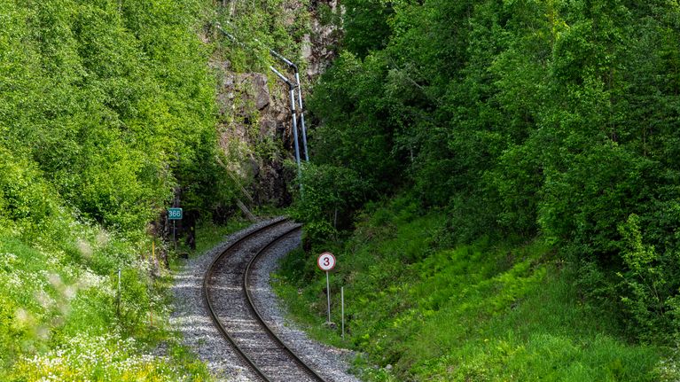 Junarata kaartaa metsän keskellä kohti tunnelia.