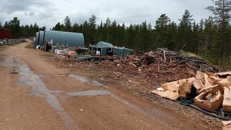 Roskia metsämaisemassa.