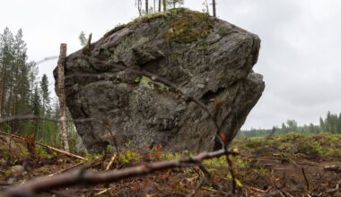 Moottoritie uhkaa jyrätä jääkautisen hiidenkiven Leppävirralla – koko yllätti Väyläviraston: ”Valtavan hieno lohkare” | Pohjois-Savo