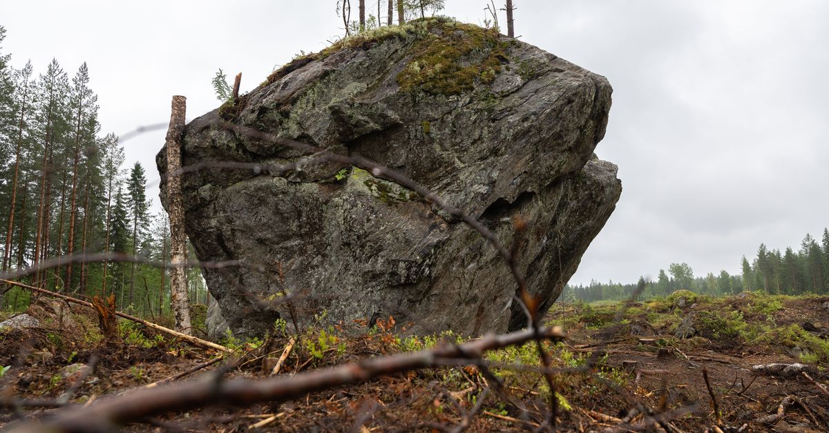 Moottoritie uhkaa jyrätä jääkautisen hiidenkiven Leppävirralla – koko yllätti Väyläviraston: ”Valtavan hieno lohkare” | Pohjois-Savo
