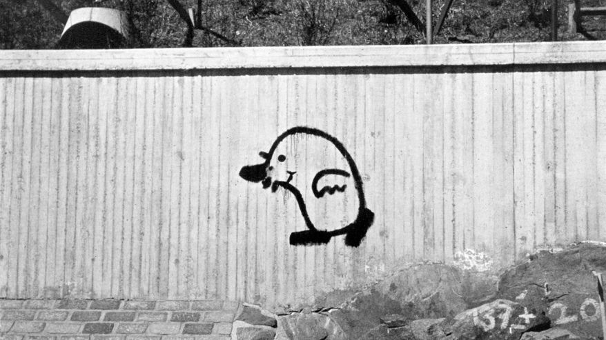 Meluaitaan maalattu myyrä vuonna 1970.
