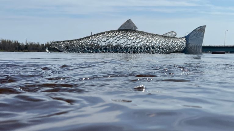 Tulvivassa tornionjoessa iso metallinen lohi-patsas näyttää lähteneen uimaan.