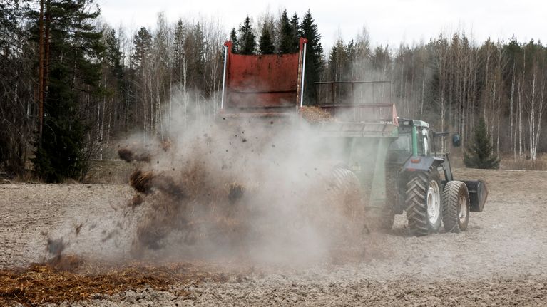 Traktorin perästä pöllyään kuivaa lantaa peltoon.