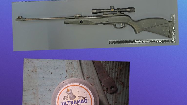 Kuvakaappauksessa on musta ilmakivääri ja siihen sopivia luoteja rasiassa.
