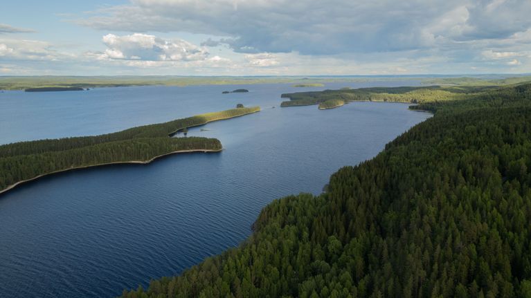 Ilmakuva Kolin maisemista, jossa näkyy harjuja, metsää ja järvi.